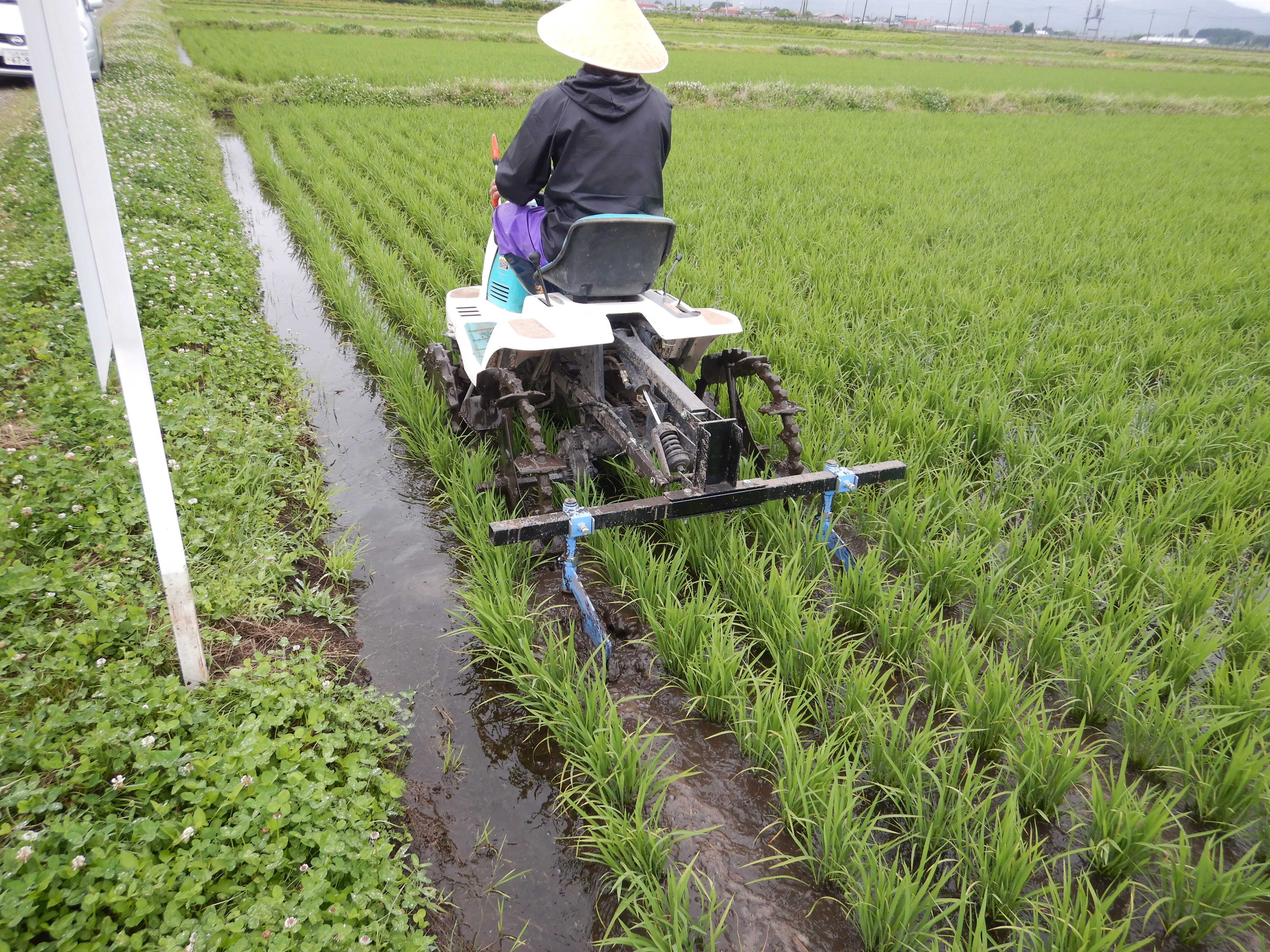 田植え機を改造した乗用作溝機に乗る増川マイスター②